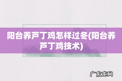 阳台养芦丁鸡技术 阳台养芦丁鸡怎样过冬