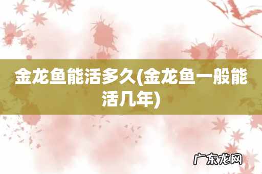 金龙鱼一般能活几年 金龙鱼能活多久