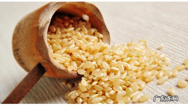 糙米怎么吃好 糙米怎么吃最好