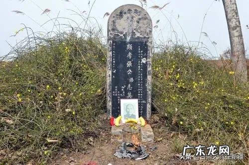 龙的生旺死绝 死龙活龙风水