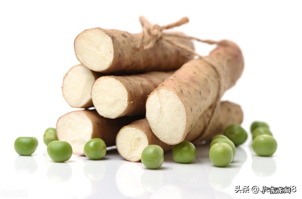 阳水风水相搏用什么方 湿气重的人脉搏怎么的