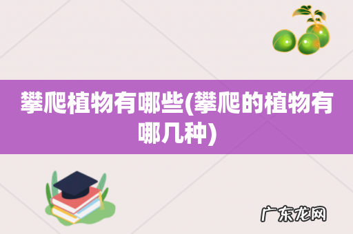 攀爬的植物有哪几种 攀爬植物有哪些