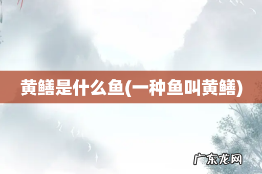 一种鱼叫黄鳝 黄鳝是什么鱼