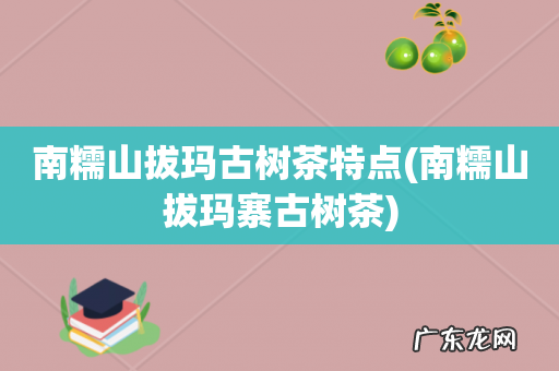 南糯山拔玛寨古树茶 南糯山拔玛古树茶特点