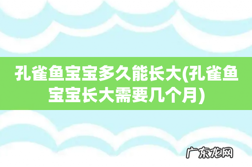 孔雀鱼宝宝长大需要几个月 孔雀鱼宝宝多久能长大