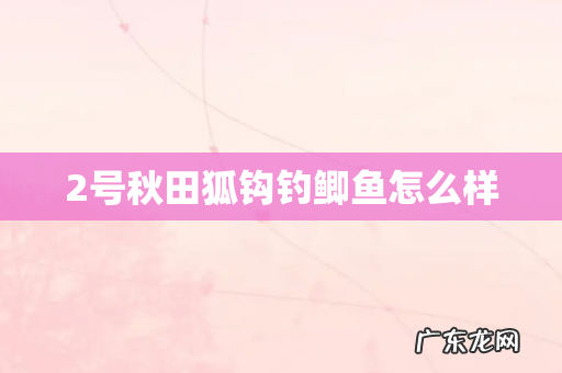2号秋田狐钩钓鲫鱼怎么样