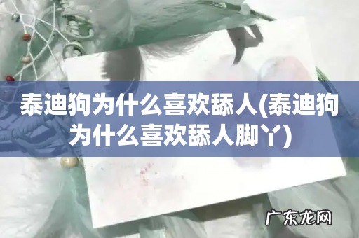 泰迪狗为什么喜欢舔人脚丫 泰迪狗为什么喜欢舔人