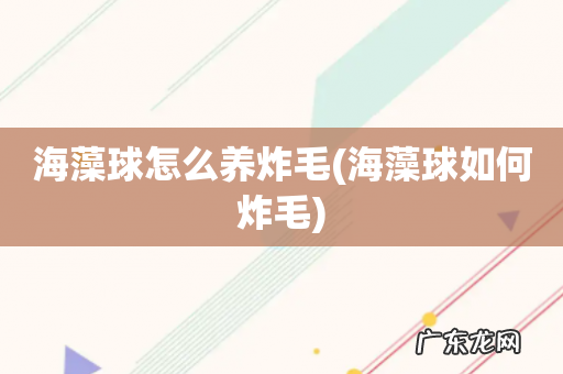 海藻球如何炸毛 海藻球怎么养炸毛