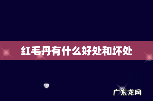 红毛丹有什么好处和坏处