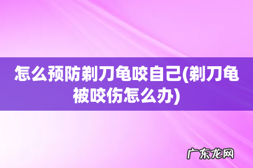 剃刀龟被咬伤怎么办 怎么预防剃刀龟咬自己