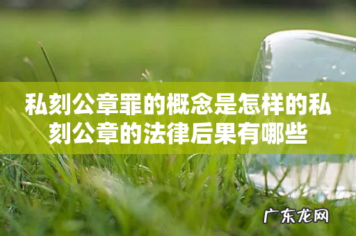 私刻公章罪的概念是怎样的私刻公章的法律后果有哪些