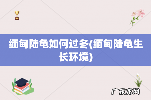 缅甸陆龟生长环境 缅甸陆龟如何过冬