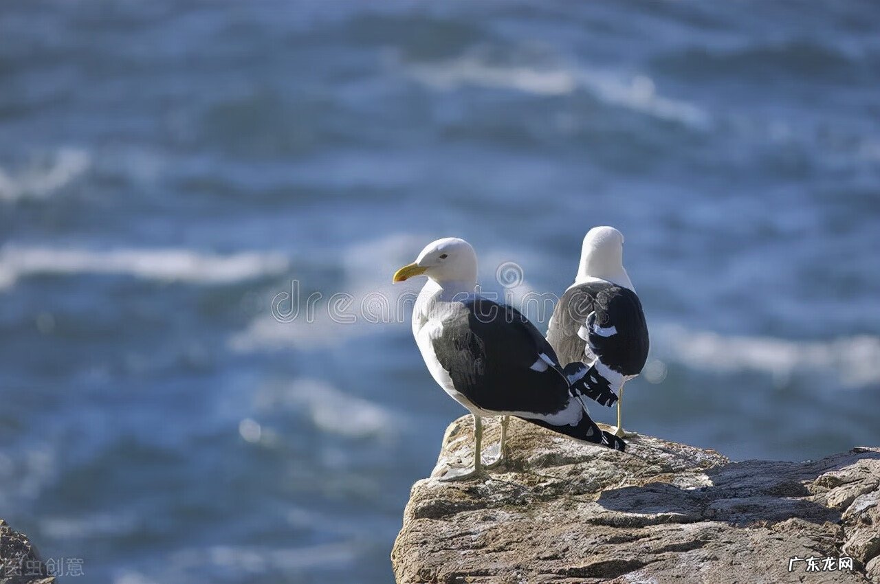 哪里可以学风水学 什么地方可以学风水