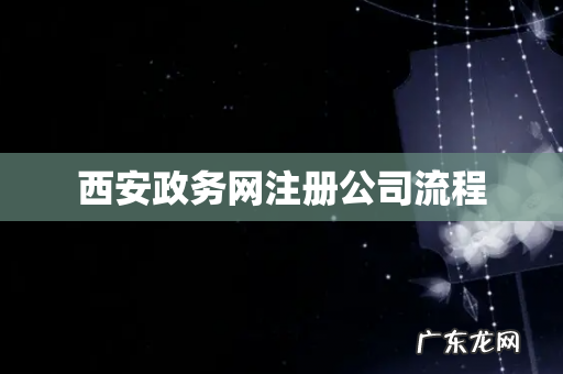 西安政务网注册公司流程