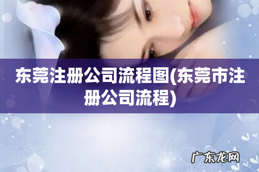 东莞市注册公司流程 东莞注册公司流程图