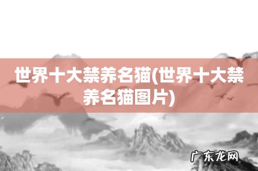 世界十大禁养名猫图片 世界十大禁养名猫