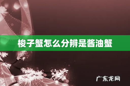 梭子蟹怎么分辨是酱油蟹