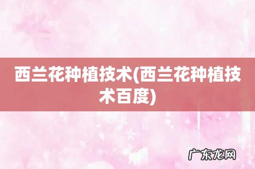 西兰花种植技术百度 西兰花种植技术