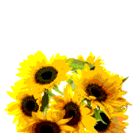 龙的祝福语有哪些 龙年的祝福