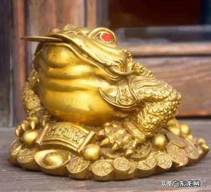 朱雀位高会有什么不好 朱雀位置高有什么影响