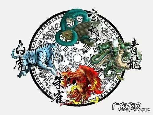 朱雀位高会有什么不好 朱雀位置高有什么影响