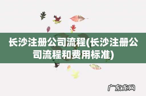 长沙注册公司流程和费用标准 长沙注册公司流程
