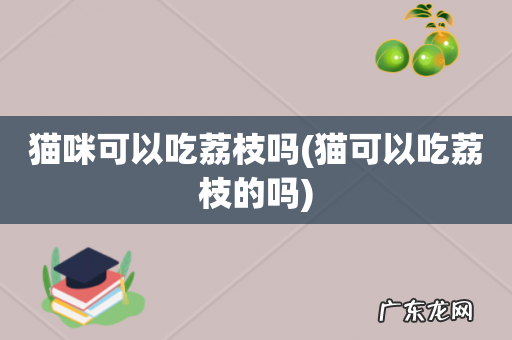 猫可以吃荔枝的吗 猫咪可以吃荔枝吗