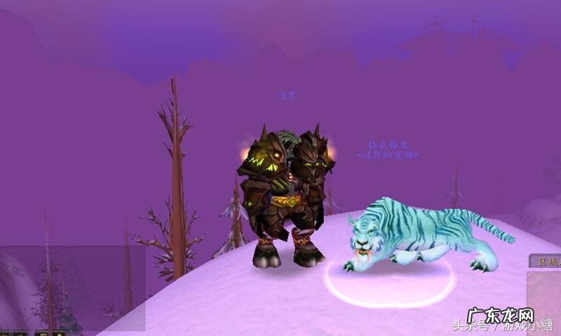 埃其亚基在哪里