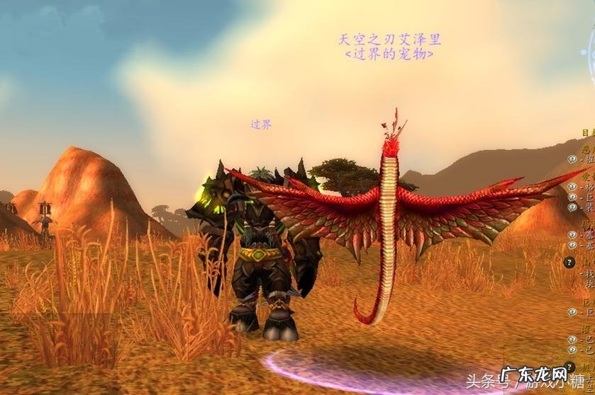 埃其亚基在哪里