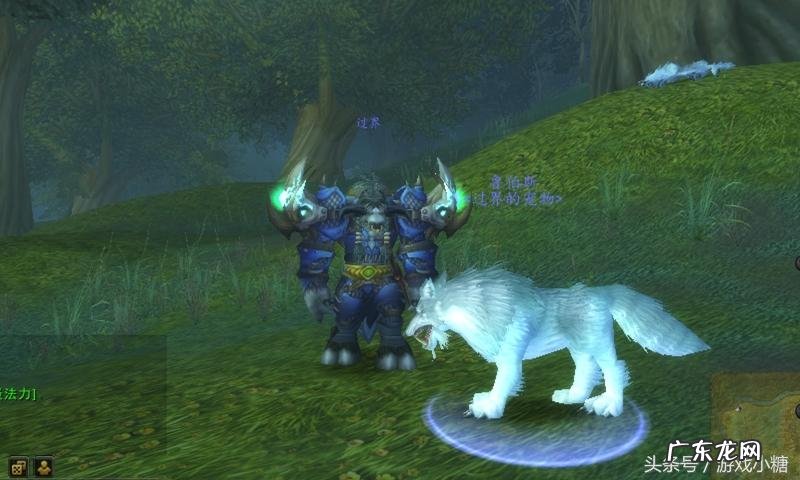 埃其亚基在哪里