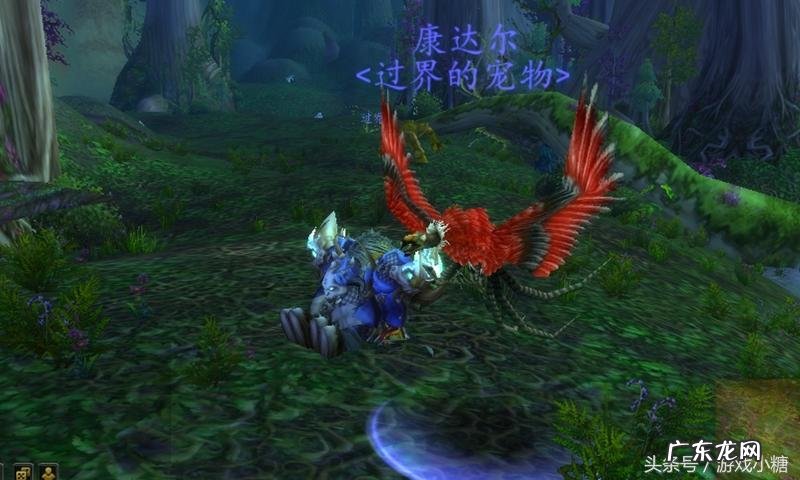 埃其亚基在哪里