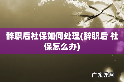 辞职后 社保怎么办 辞职后社保如何处理