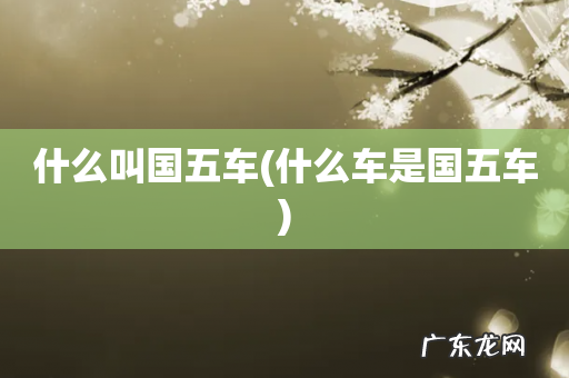 什么车是国五车 什么叫国五车