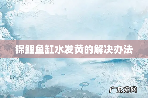 锦鲤鱼缸水发黄的解决办法
