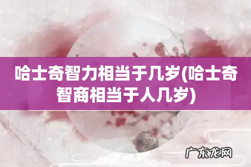 哈士奇智商相当于人几岁 哈士奇智力相当于几岁