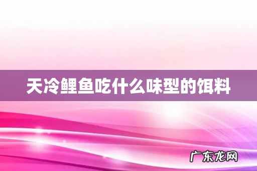 天冷鲤鱼吃什么味型的饵料
