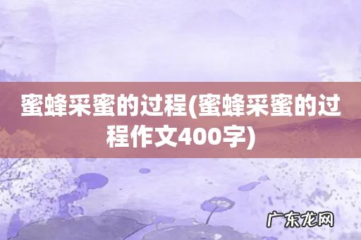 蜜蜂采蜜的过程作文400字 蜜蜂采蜜的过程