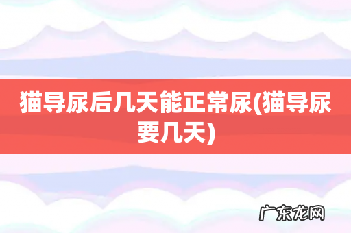 猫导尿要几天 猫导尿后几天能正常尿