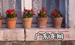 情人节礼物品牌 情人节礼物推荐排行榜