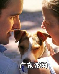 情人节礼物品牌 情人节礼物推荐排行榜