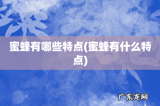 蜜蜂有什么特点 蜜蜂有哪些特点