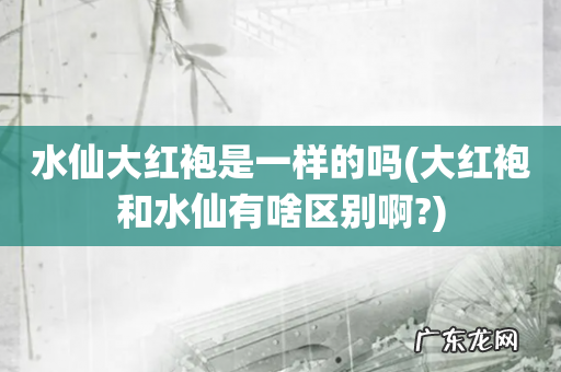 大红袍和水仙有啥区别啊? 水仙大红袍是一样的吗