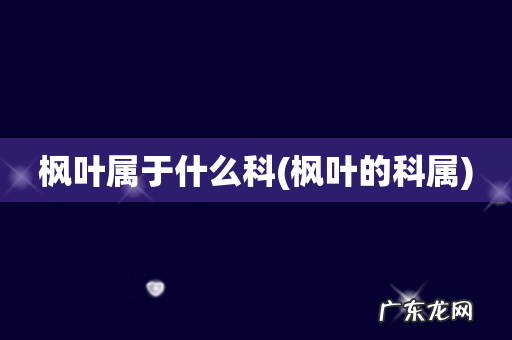 枫叶的科属 枫叶属于什么科