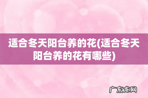 适合冬天阳台养的花有哪些 适合冬天阳台养的花