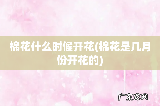 棉花是几月份开花的 棉花什么时候开花