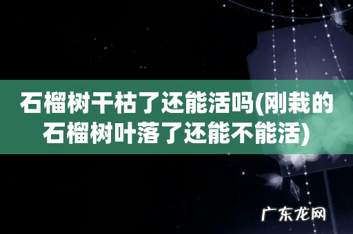 刚栽的石榴树叶落了还能不能活 石榴树干枯了还能活吗