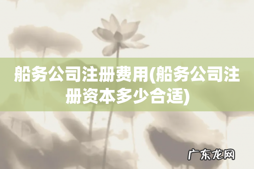 船务公司注册资本多少合适 船务公司注册费用