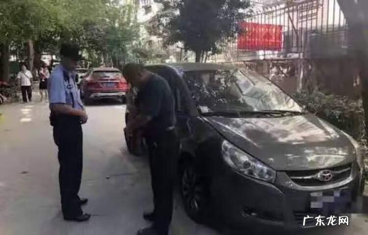 家里种什么旺丁 旺丁搭档哪里有卖的