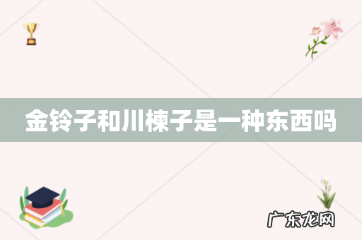 金铃子和川楝子是一种东西吗