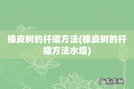 橡皮树的扦插方法水培 橡皮树的扦插方法